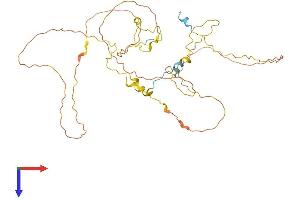 AlphaFold protein structure predicition of Human Recombinant FAM53A Protein, UniprotID Q6NSI3