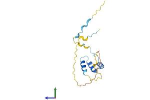 AlphaFold protein structure predicition of Human Recombinant AVPI1 Protein, UniprotID Q5T686