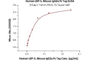 Immobilized Human Dkk-1, His Tag (ABIN2180966,ABIN2180965) at 5 μg/mL (100 μL/well) can bind Human LRP-5, Mouse IgG2a Fc Tag (ABIN6731303,ABIN6809855) with a linear range of 0.