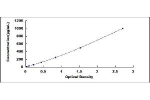 Typical standard curve (ITIH2 Kit ELISA)
