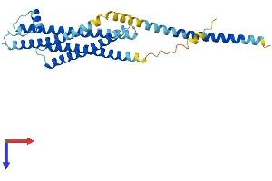 AlphaFold protein structure predicition of Mouse Recombinant Stx1b Protein, UniprotID P61264