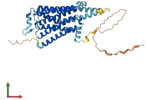 AlphaFold protein structure predicition of Human Recombinant HTR4 Protein, UniprotID Q13639