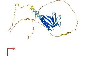 AlphaFold protein structure predicition of Mouse Recombinant Necap1 Protein, UniprotID Q9CR95