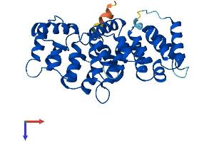 AlphaFold protein structure predicition of Human Recombinant ANXA8 Protein, UniprotID P13928