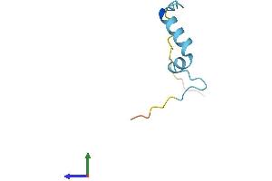 AlphaFold protein structure predicition of Human Recombinant SMKR1 Protein, UniprotID H3BMG3