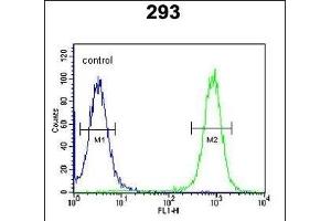 EPC2 Antibody (N-term) (ABIN651410 and ABIN2840221) flow cytometric analysis of 293 cells (right histogram) compared to a negative control cell (left histogram). (EPC2 anticorps  (N-Term))