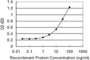 ELISA image for anti-Clathrin Interactor 1 (CLINT1) (AA 161-262) antibody (ABIN599495) (CLINT1 anticorps  (AA 161-262))