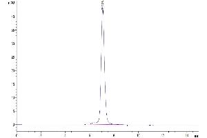 Resistin (RETN) (AA 21-114) protein (Fc Tag)