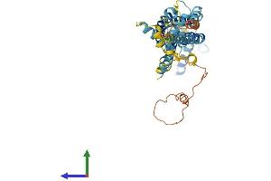 AlphaFold protein structure predicition of Mouse Recombinant Panx1 Protein, UniprotID Q9JIP4