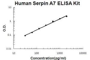 Human Serpin A7 PicoKine ELISA Kit standard curve (SERPINA7 Kit ELISA)