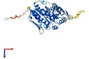 AlphaFold protein structure predicition of Human Recombinant PRPSAP2 Protein, UniprotID O60256