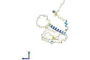 AlphaFold protein structure predicition of Human Recombinant INCA1 Protein, UniprotID Q0VD86