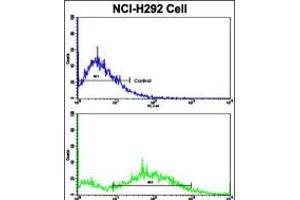 Flow cytometric analysis of NCI-H292 cells using Cyclin E1 Antibody (bottom histogram) compared to a negative control cell (top histogram). (Cyclin E1 anticorps  (C-Term))