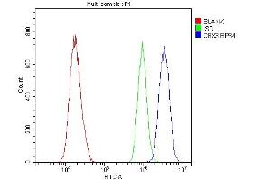 Flow Cytometry analysis of A431 cells using anti-HP1 gamma antibody (ABIN5693033). (CBX3 anticorps  (AA 2-183))