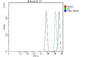 Flow Cytometry analysis of U87 cells using anti-LYRIC antibody (ABIN7599627). (MTDH anticorps  (AA 101-270))