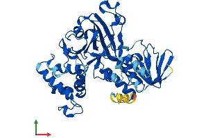 AlphaFold protein structure predicition of Mouse Recombinant Gdi2 Protein, UniprotID Q61598