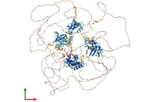 AlphaFold protein structure predicition of Human Recombinant RGS12 Protein, UniprotID O14924
