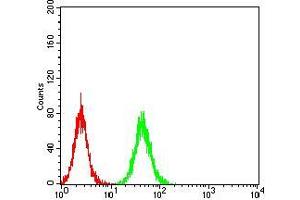 Flow cytometric analysis of K562 cells using NS1 mouse mAb (green) and negative control (red). (Parvovirus B19 NS1 (AA 1-216) anticorps)