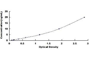 Typical standard curve (SOX9 Kit ELISA)