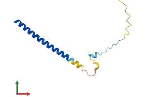 AlphaFold protein structure predicition of Human Recombinant SNAPC5 Protein, UniprotID O75971