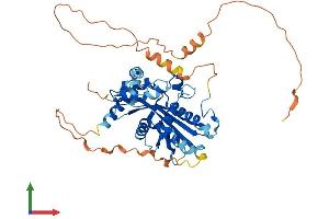 AlphaFold protein structure predicition of Mouse Recombinant Mael Protein, UniprotID Q8BVN9