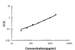Sandwich ELISA - Recombinant human Elafin/Skalp protein standard curve. (PI3 anticorps  (AA 61-117))