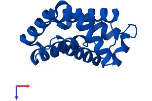 AlphaFold protein structure predicition of Human Recombinant HBQ1 Protein, UniprotID P09105