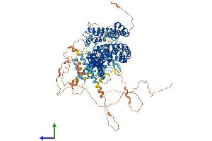 AlphaFold protein structure predicition of Mouse Recombinant Atg9b Protein, UniprotID Q6EBV9