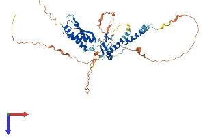 AlphaFold protein structure predicition of Human Recombinant RNF25 Protein, UniprotID Q96BH1