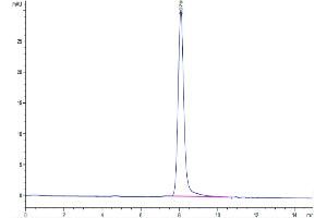The purity of Human SEMA4B is greater than 95 % as determined by SEC-HPLC.