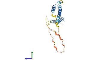 AlphaFold protein structure predicition of Human Recombinant HES2 Protein, UniprotID Q9Y543