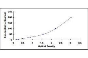 Typical standard curve (SERPINC1 Kit ELISA)