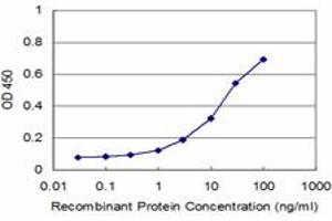 anti-Frizzled Family Receptor 3 (FZD3) (AA 55-157) antibody