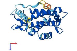 AlphaFold protein structure predicition of Mouse Recombinant Mob3b Protein, UniprotID Q8VE04