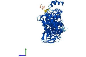 AlphaFold protein structure predicition of Human Recombinant NAPRT Protein, UniprotID Q6XQN6