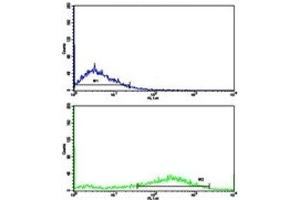Flow cytometric analysis of NCI-H292 cells using Fascin antibody (green) compared to a negative control (blue).