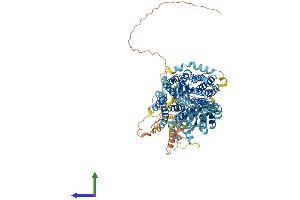 AlphaFold protein structure predicition of Mouse Recombinant Slc4a11 Protein, UniprotID A2AJN7