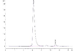 The purity of Biotinylated Cynomolgus BAFF Trimer is greater than 95 % as determined by SEC-HPLC.