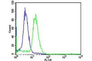 Flow cytometric analysis of Ramos cells using TCL1A Antibody (Center)(green, Cat(ABIN1944776 and ABIN2838519)) compared to an isotype control of rabbit IgG(blue).