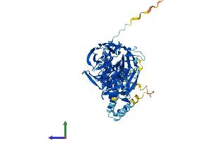 AlphaFold protein structure predicition of Mouse Recombinant Ipp Protein, UniprotID P28575