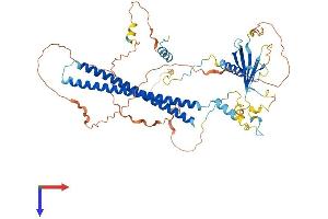 AlphaFold protein structure predicition of Mouse Recombinant Palmd Protein, UniprotID Q9JHU2