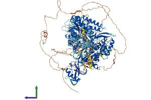 AlphaFold protein structure predicition of Human Recombinant POLA1 Protein, UniprotID P09884