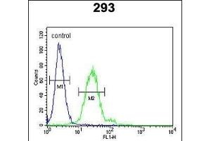 EpC Antibody (N-term) (ABIN651635 and ABIN2840340) flow cytometric analysis of 293 cells (right histogr) compared to a negative control cell (left histogr). (EpCAM anticorps  (N-Term))