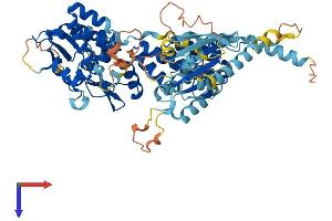 AlphaFold protein structure predicition of Human Recombinant RHOBTB3 Protein, UniprotID O94955