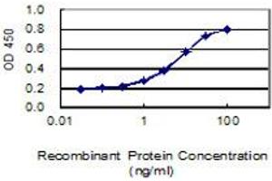 anti-Embigin (EMB) (AA 1-327) antibody