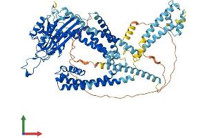 AlphaFold protein structure predicition of Mouse Recombinant Pkd2l1 Protein, UniprotID A2A259