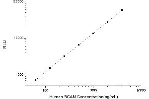 Typical standard curve (BCAN Kit CLIA)