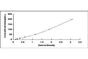 Typical standard curve (CERK Kit ELISA)