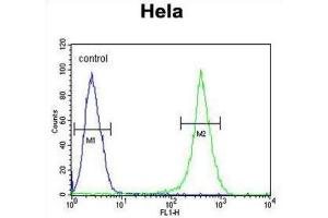 Flow Cytometry (FACS) image for anti-Alveolar Soft Part Sarcoma Chromosome Region, Candidate 1 (ASPSCR1) antibody (ABIN3003927)