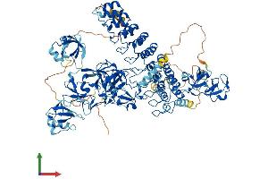 AlphaFold protein structure predicition of Human Recombinant MIB1 Protein, UniprotID Q86YT6